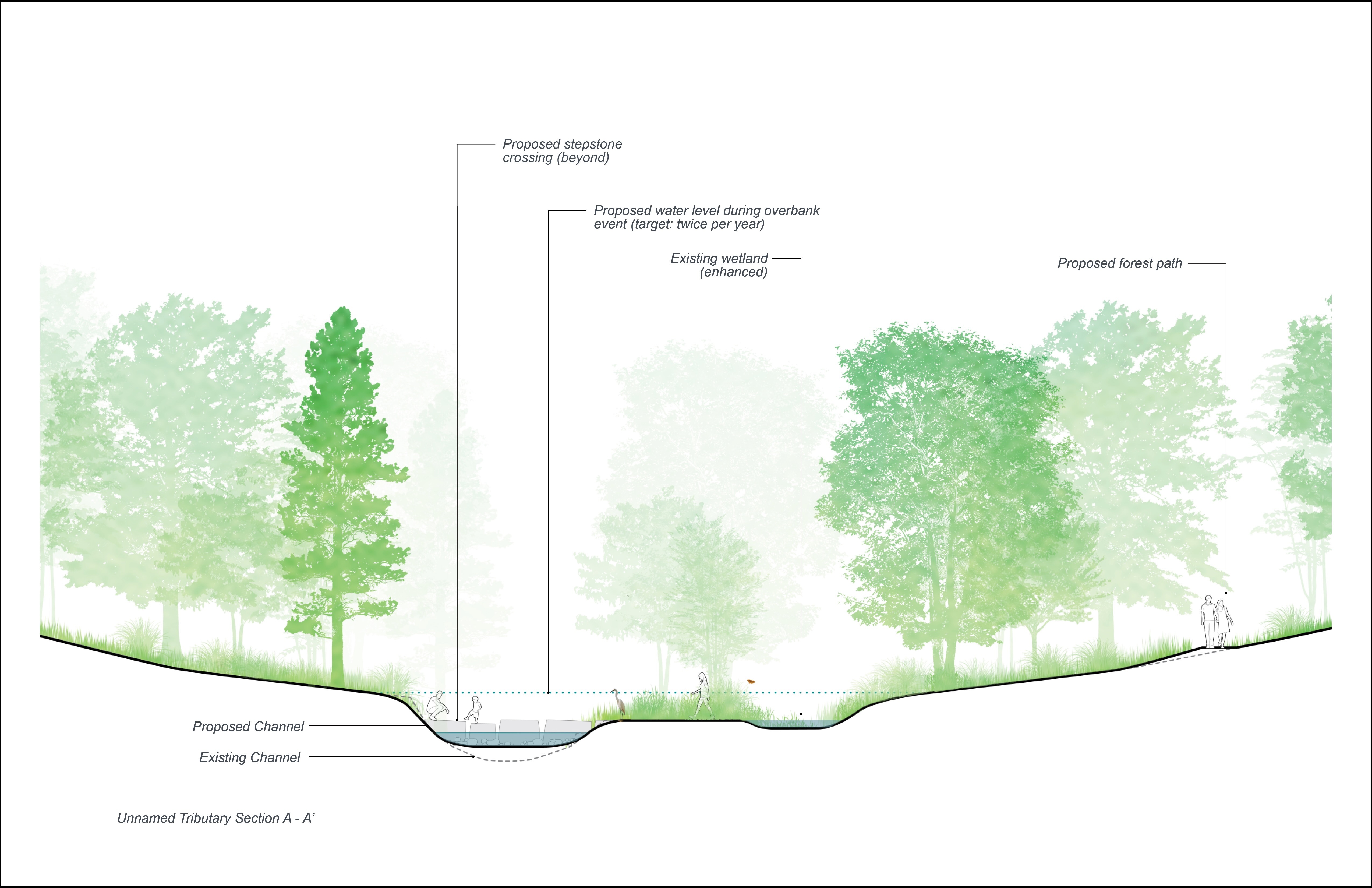 NC Museum of Art Stream Proposed Design