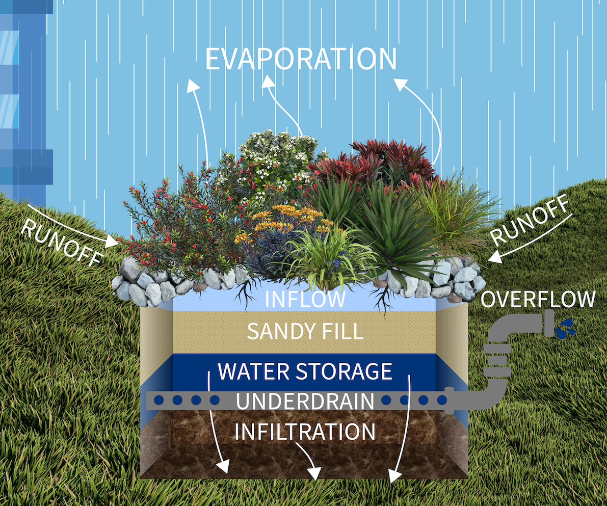 Lions Park Bioretention Example