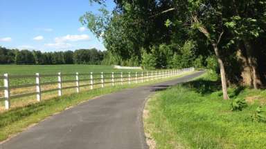 Paved section of Neuse Greenway Trail