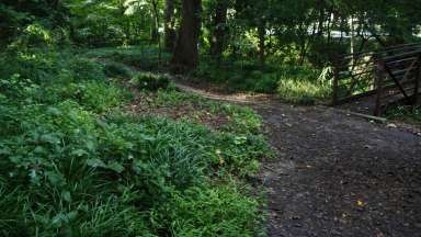 Winding walking trail near bridge Edna Metz Wells Park