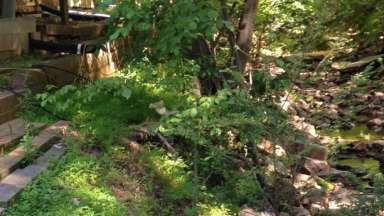 An eroded stream that's very close to a home on Kayla Court