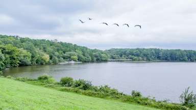 A shot of the lake and trails at Shelley Lake