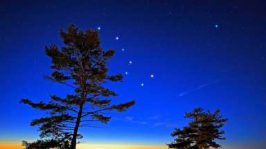 Looking up at star constellations in the night sky with trees in view