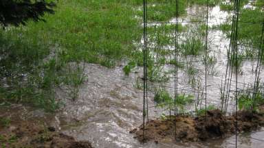 Yard flooding on East Jameson Road in Raleigh