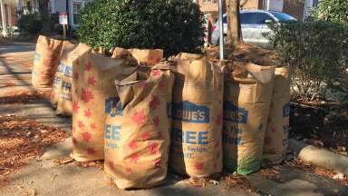 biodegradable bags full of leaves