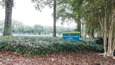 The signage at Williams Park surrounded by trees and bushes