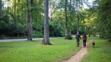 Two people walking through park