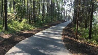 Paved greenway trail with trees