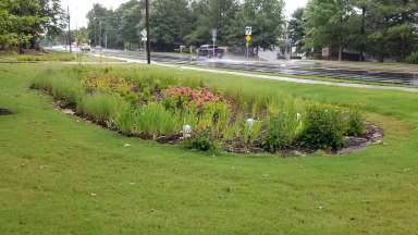 the bioretention area on Fox road