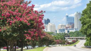 Raleigh Road to Downtown