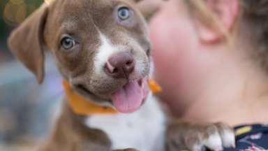 Girl holding puppy dog on shoulder