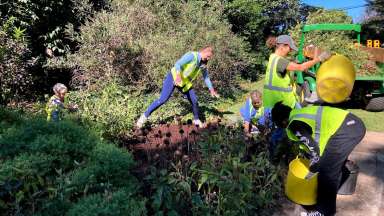 Volunteers Helping with plantings and weed removal