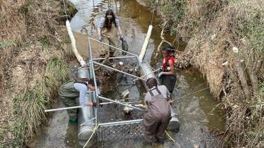 youth in stream cleaning out a trash trout 