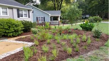 Rain Garden