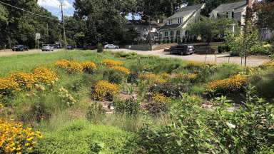 Glenwood Avenue Bioretention Area