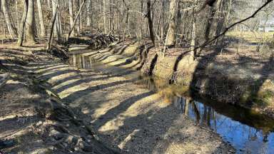 Whispering Branch Stream