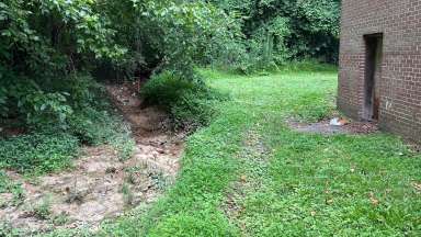 Poole Road Stream