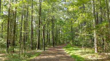 an image of a trail at lake Johnson