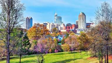 Raleigh Skyline in Spring