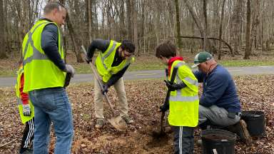 people in safety vests digging holes to plant trees