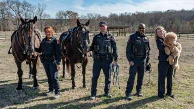 photo of police and a horse and a dog