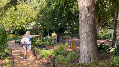 A woman pointing at a wood carving placed in Pullen Park