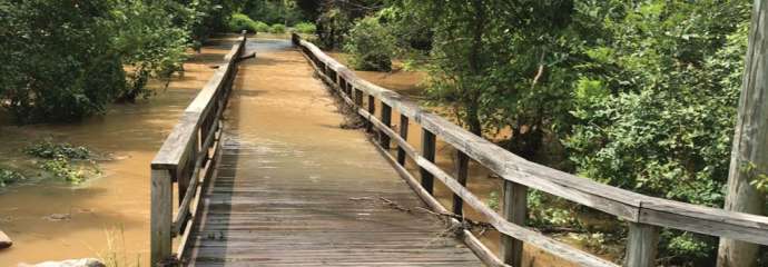 rose lane flooding