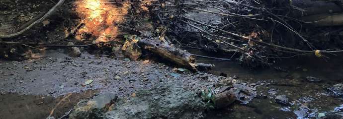 An eroded stream on Dixie Trail with high banks