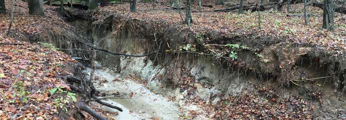 Camp Pond Dam