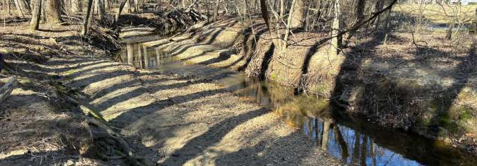 Whispering Branch Stream