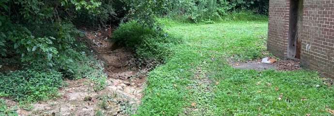 Poole Road Stream