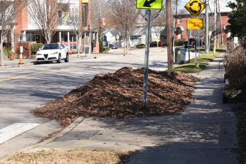 Leaf pile