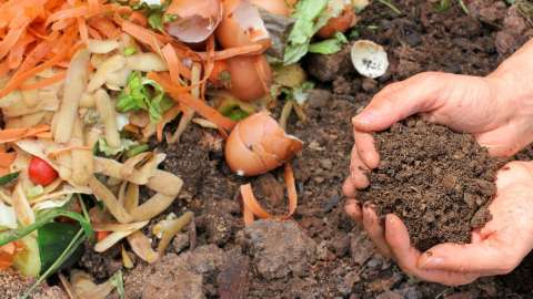 Hands holding dirt in compost pile