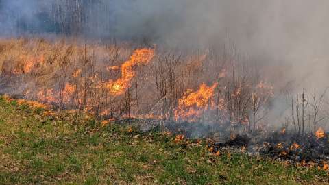 Field Burning at Wilkerson Nature Preserve