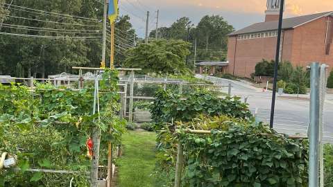 Highland UMC Victory Garden