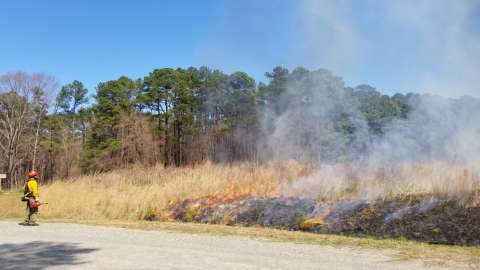 safety person doing a prescribed field burn