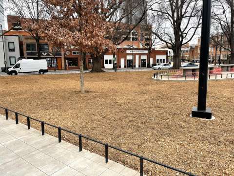 mulch landscape in Moore Square