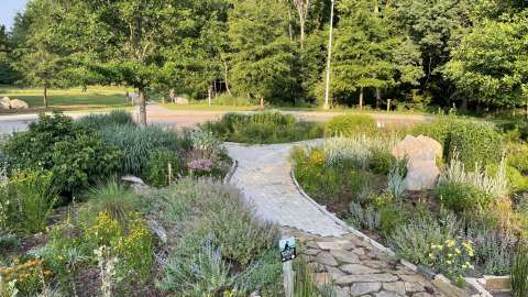 pollinator area at forest ridge park