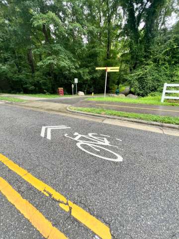 bike sharrow