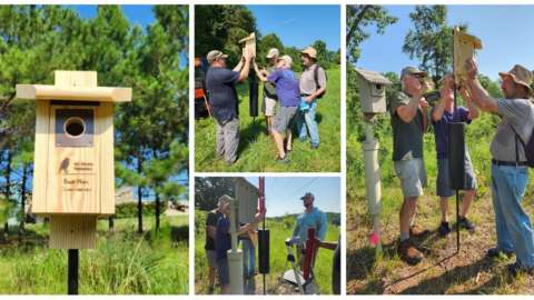 North Carolina Museum of Art Wildlife Habitat Enhancement - 2024 SWRA Winner - Community Impact