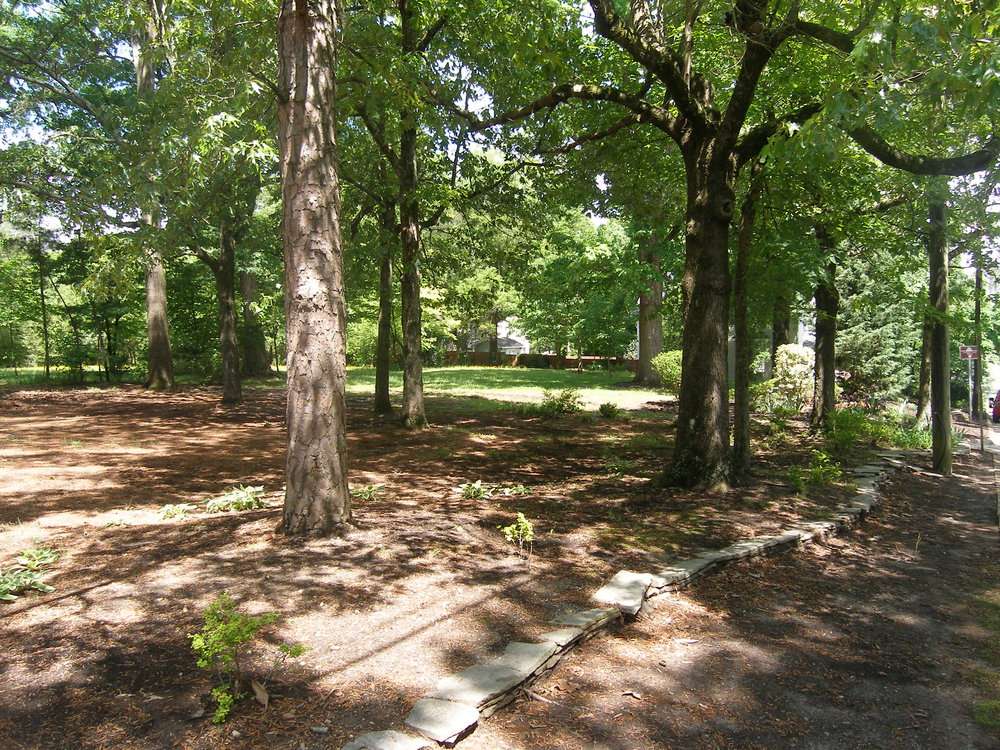 View of green foliage at the site of the Latta House and University