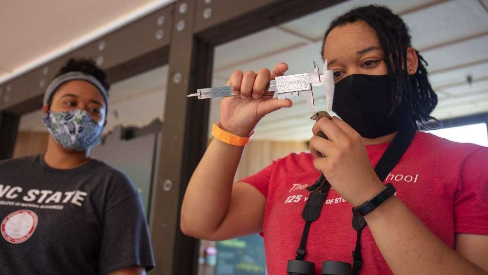 Birder holds small bird to measure it head for educational demonstration