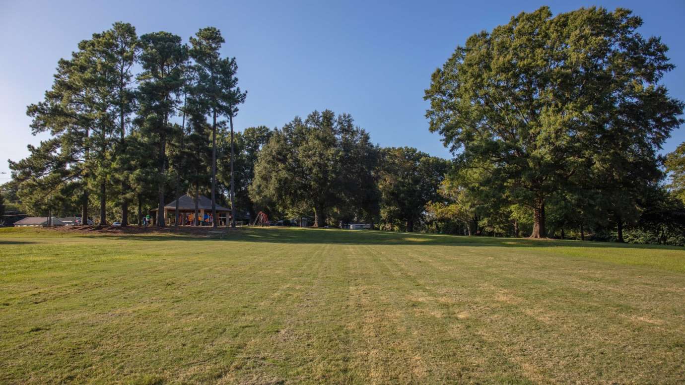 A large open field at the park 