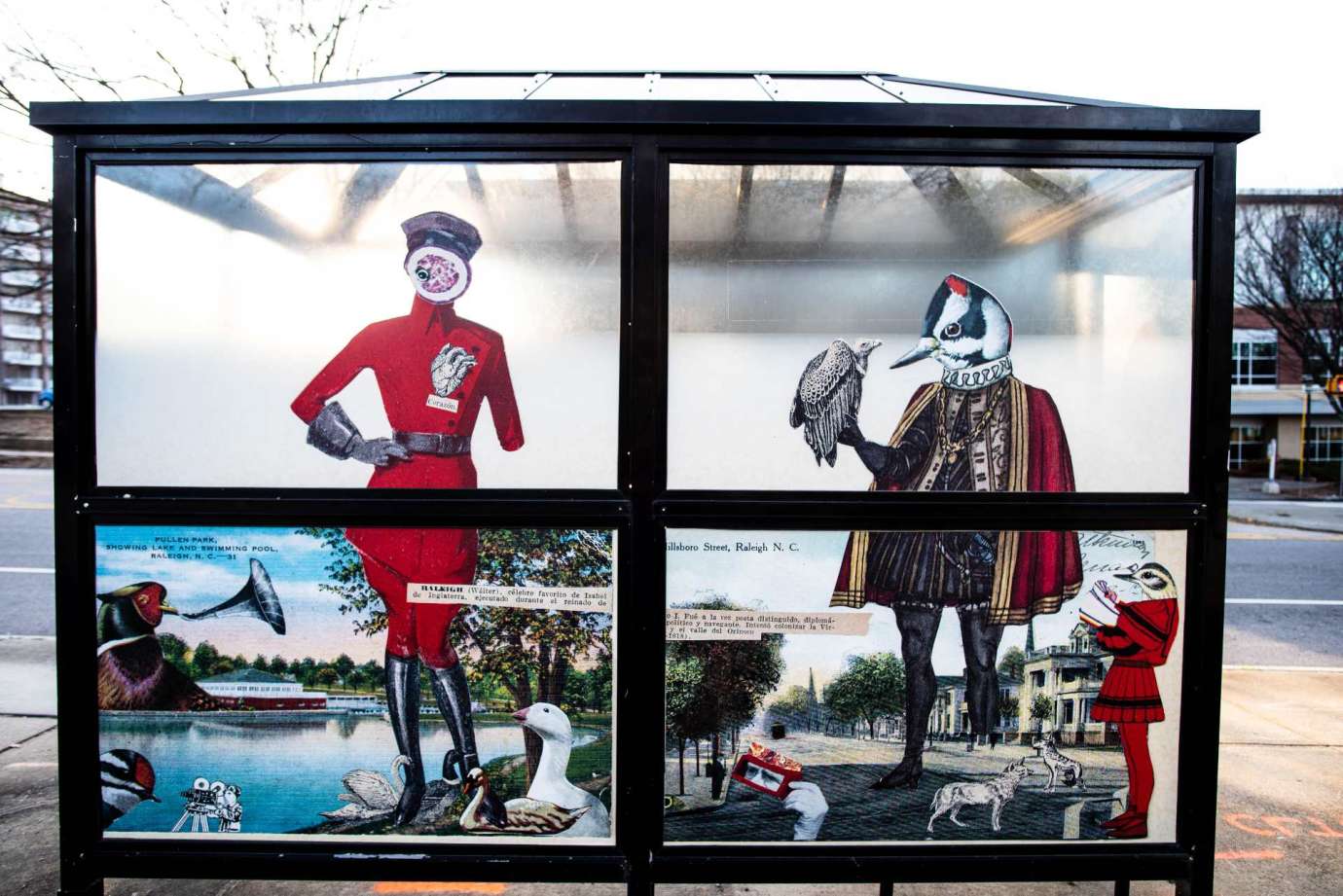 Artwork wrapped on bus shelter windows titled The Messenger or the Message by  Wendy Spitzer  located at Hillsborough Street at Forest Street