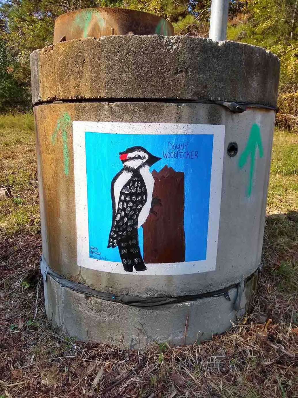 a downy woodpecker is painted on a greenway sewer riser