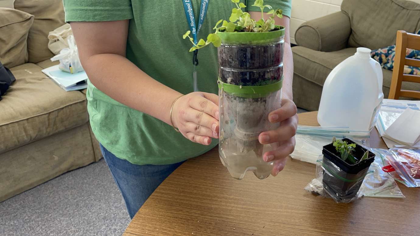 Rain Garden in a Bottle