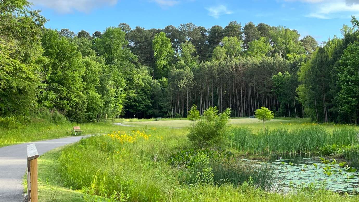 Wooten Meadow Park - 2023 SWRA Landscape Design Winner