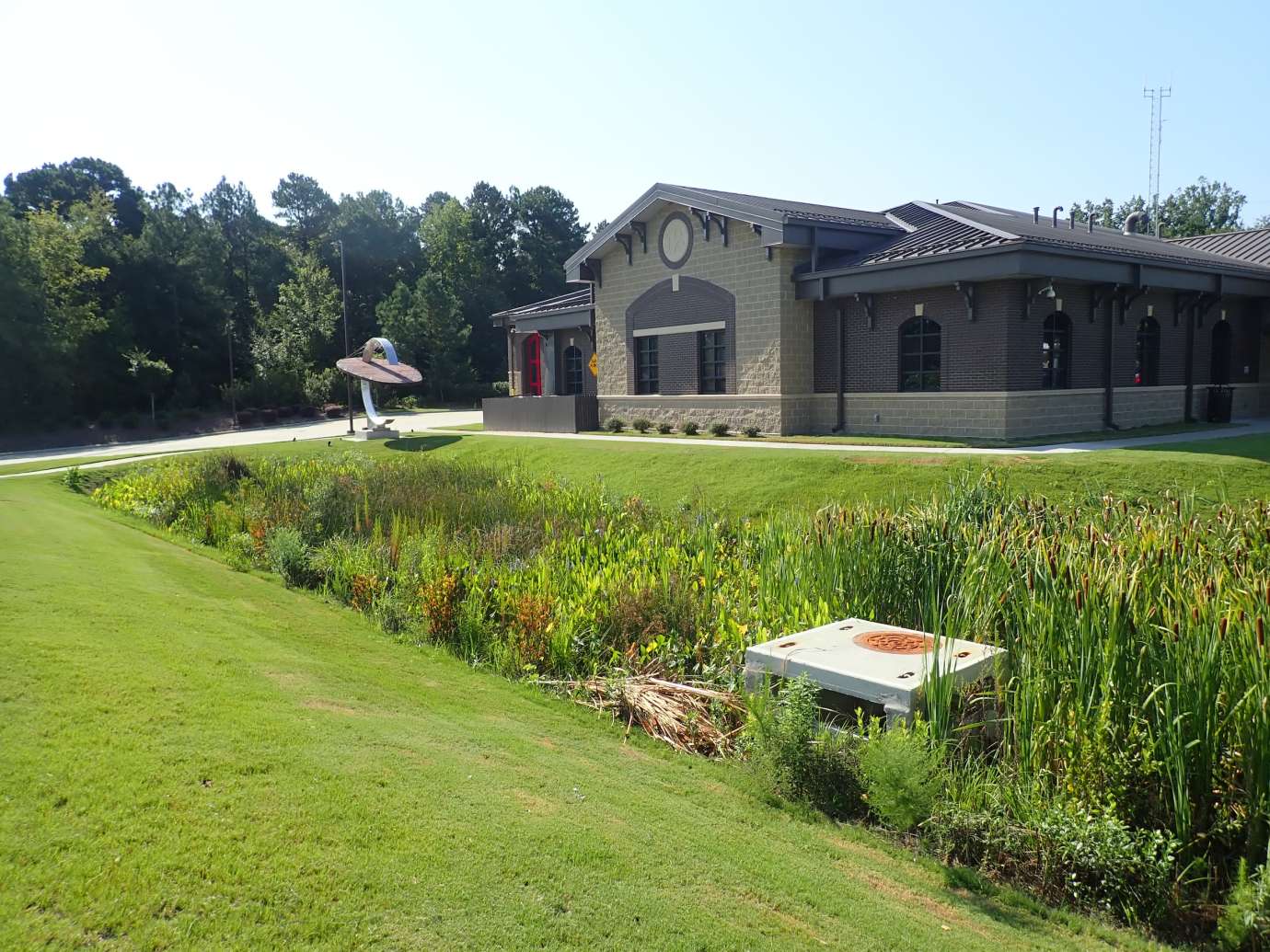 Fire Station 12 Wetland