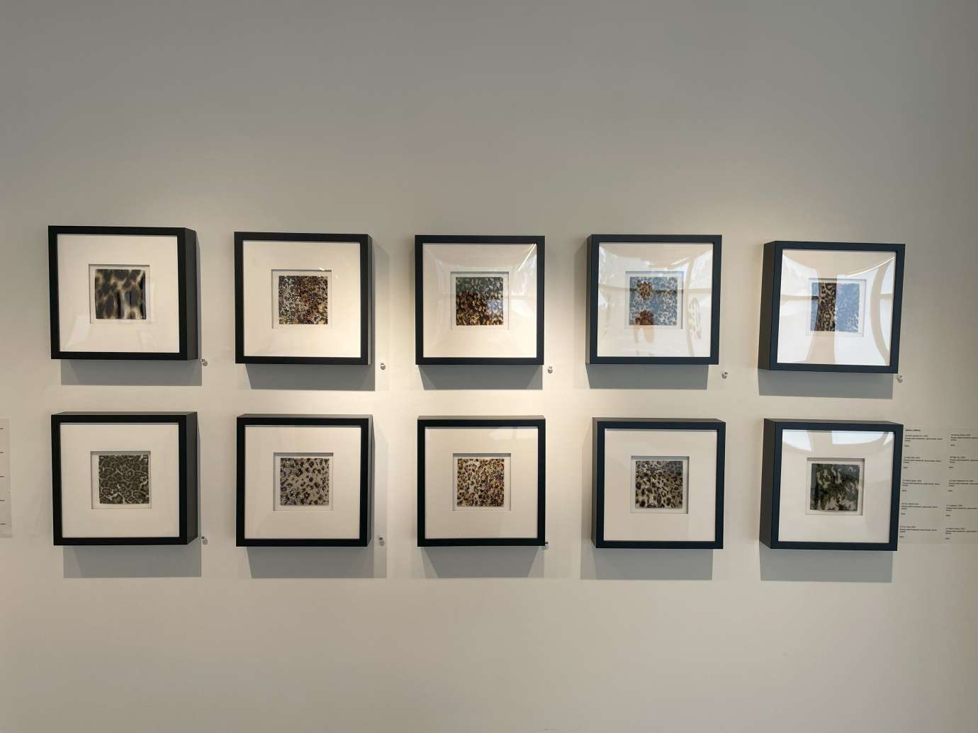 Framed artwork on a gallery wall hung in two orderly rows of five. 