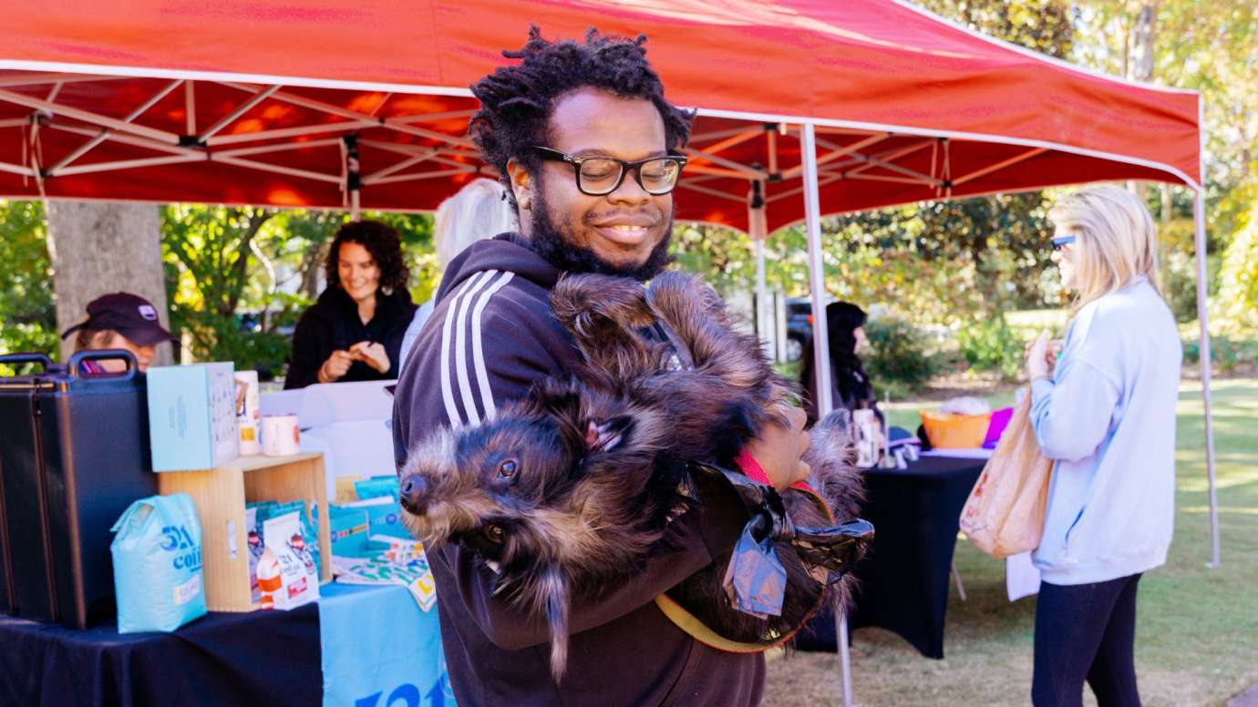 An adorable dog at a outdoor arts festival on a sunny day. 